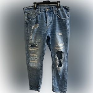 American eagle plants